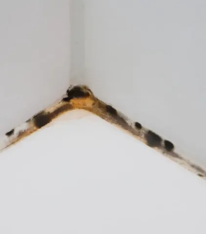 Joint de silicone ayant noircit